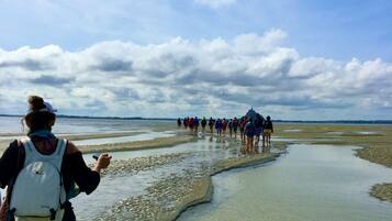 På stranden, liggestole