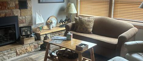 Smart TV, fireplace, books