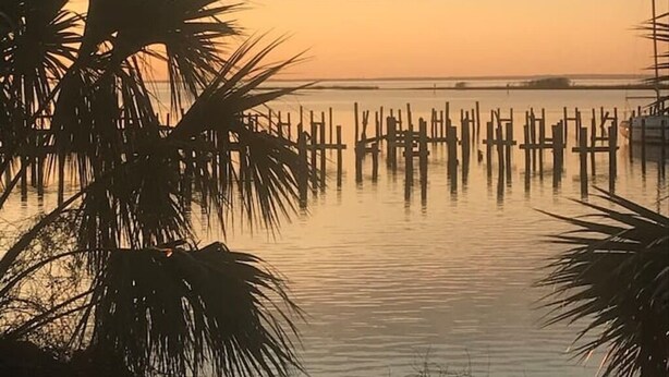 A calm waterfront scene with palm trees and wooden docks. - 1085 Cozy 1 Bedroom Condo on Mobile Bay (Daphne)