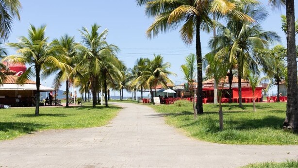 A paved road lined with palm trees and red buildings, leading to a beach area. - 3 Bedroom Apartment Facing Itararé Beach / SV (SP)