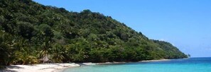 Une plage bordée d’une colline densément boisée, avec une eau d’un bleu limpide et un rivage sablonneux.