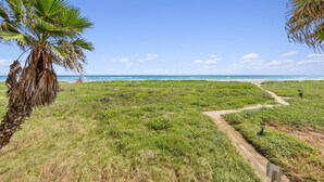 A coastal landscape with a palm tree, a dirt path, and a view of the ocean. - Beach FRONT Hideaway for your Fun in the Sun!️ (South Padre Island)