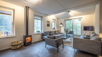 TV connectée, cheminée