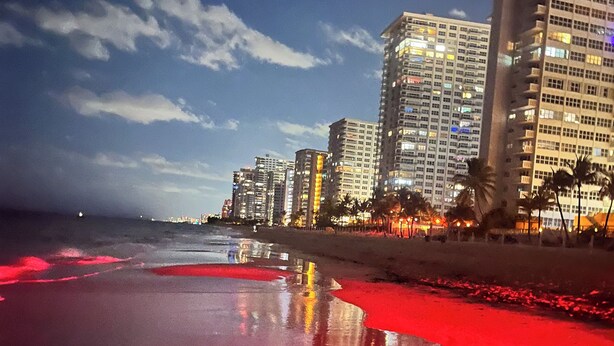 Un hotel frente a la playa con varios edificios altos, una superficie reflectante húmeda y cielo despejado.