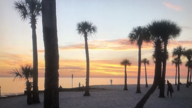 Una playa con palmeras y un atardecer.
