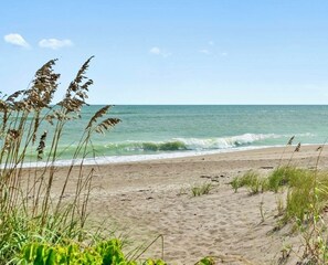 Plage à proximité, chaises longues, serviettes de plage