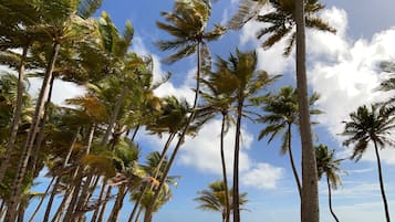 Una playa cerca, sillas reclinables de playa, toallas de playa