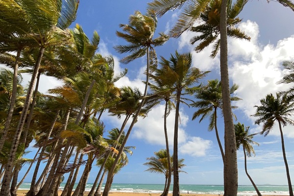 Una playa cerca, sillas reclinables de playa, toallas de playa