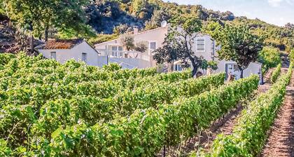 Acogedora casa en Cabrerolles