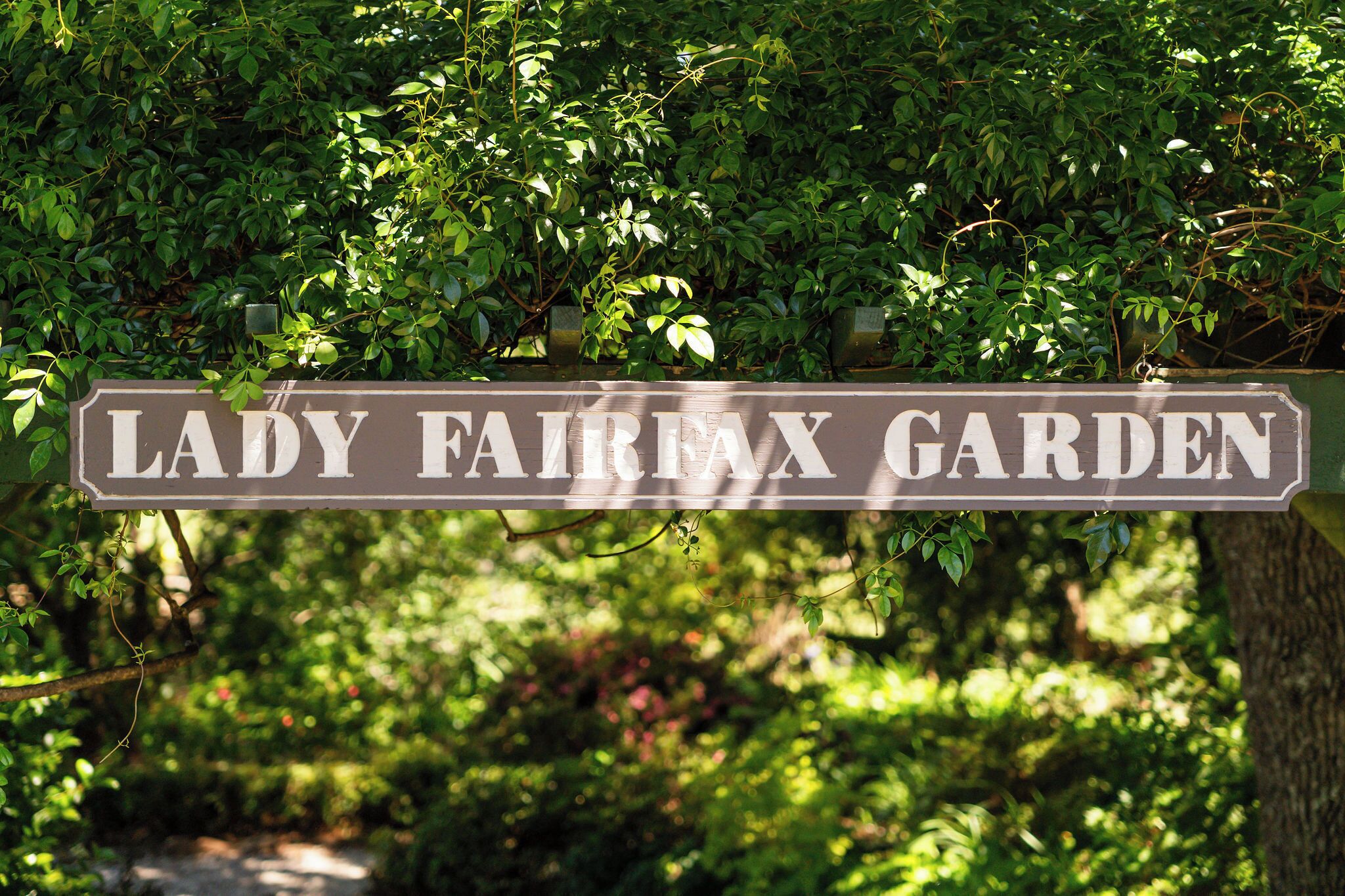A sign that reads "Lady Fairfax Garden."