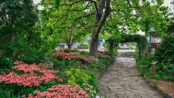 A stone pathway leading through a garden with various plants and trees.