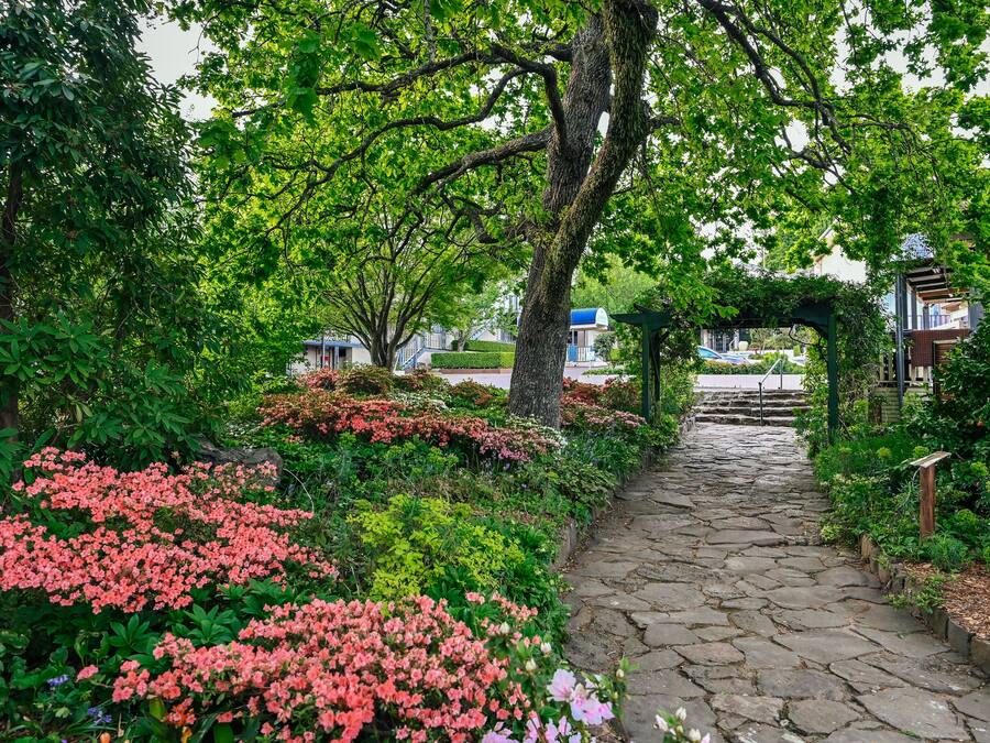 A stone pathway leading through a garden with various plants and trees.