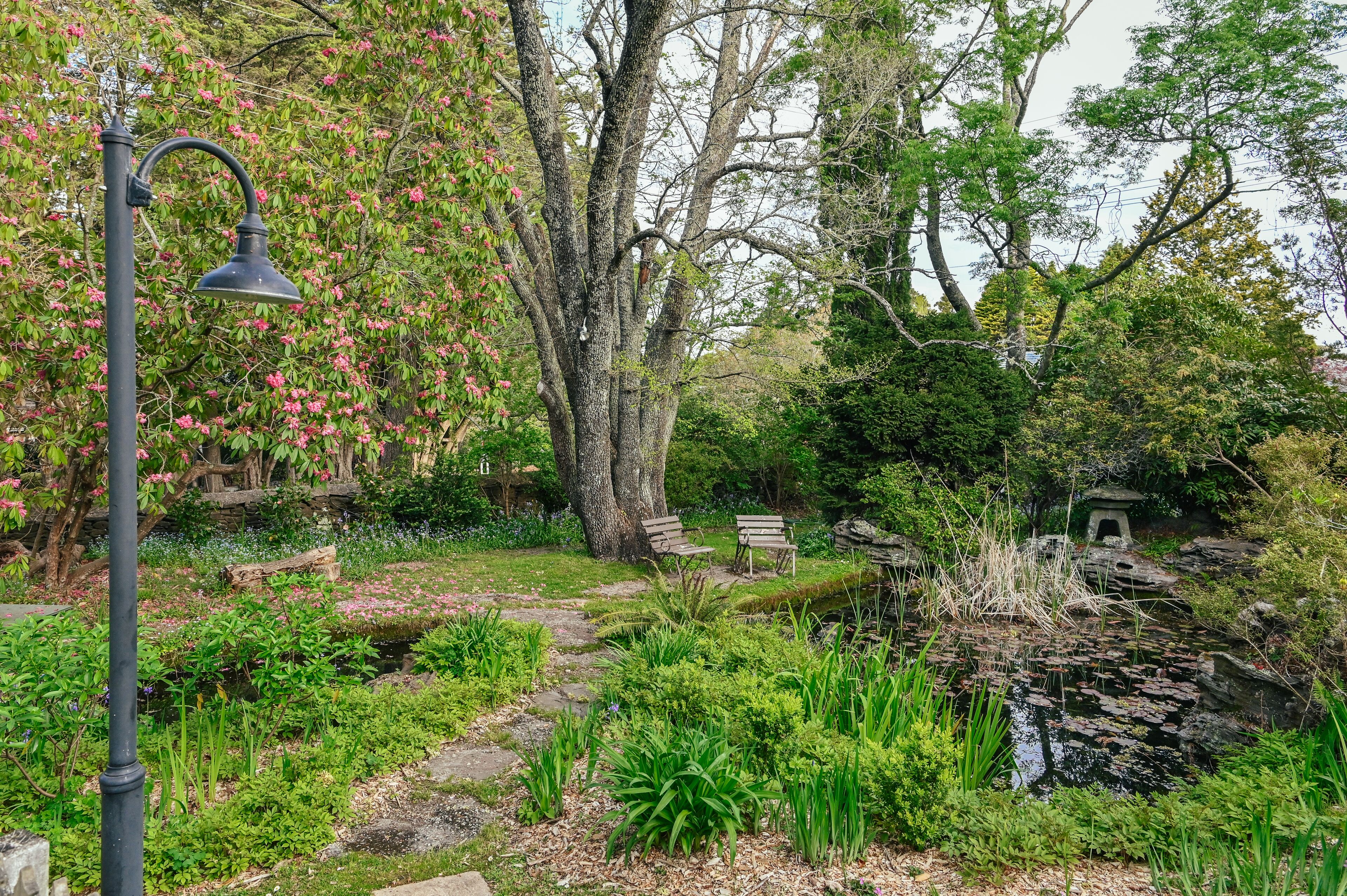 Un jardin avec un étang, des bancs et un lampadaire.