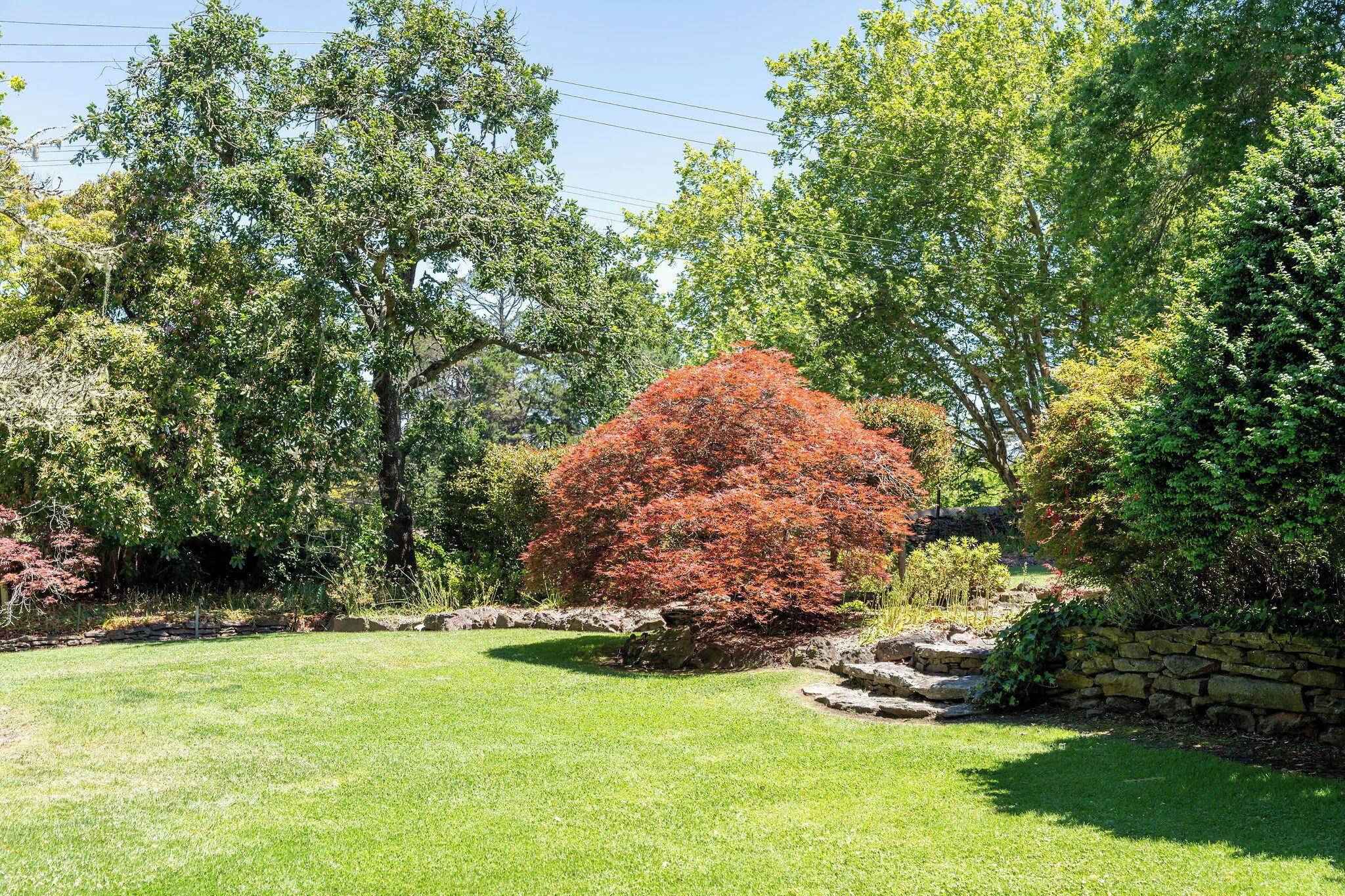 A well-maintained garden with a variety of trees, including a prominent red-leaved bush, stone walls, and a grassy lawn.