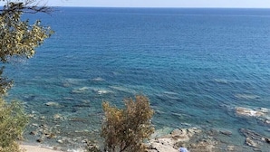 Ein Strand mit klarem, blauem Wasser, felsigem Ufer und einem Baum im Vordergrund.