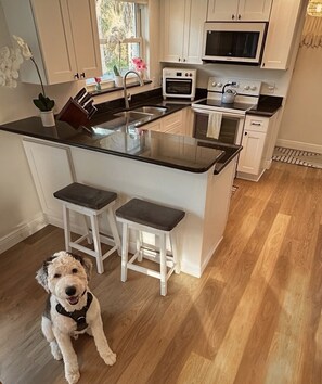 Fridge, microwave, oven, stovetop - SANIBEL ISLAND 2025-2026 season of sun, shells, peace and paradise (Sanibel)