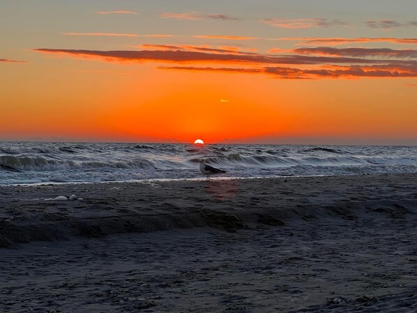 Strand
