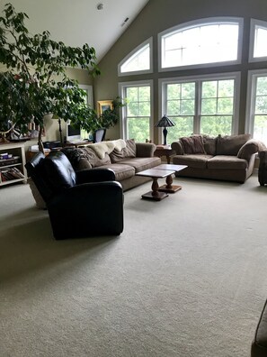 Smart TV, fireplace, video games, DVD player