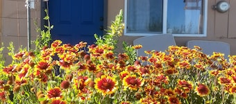Wild Creek BnB, " Cottage "