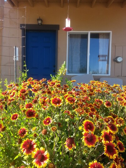 Wild Creek BnB, " Cottage "