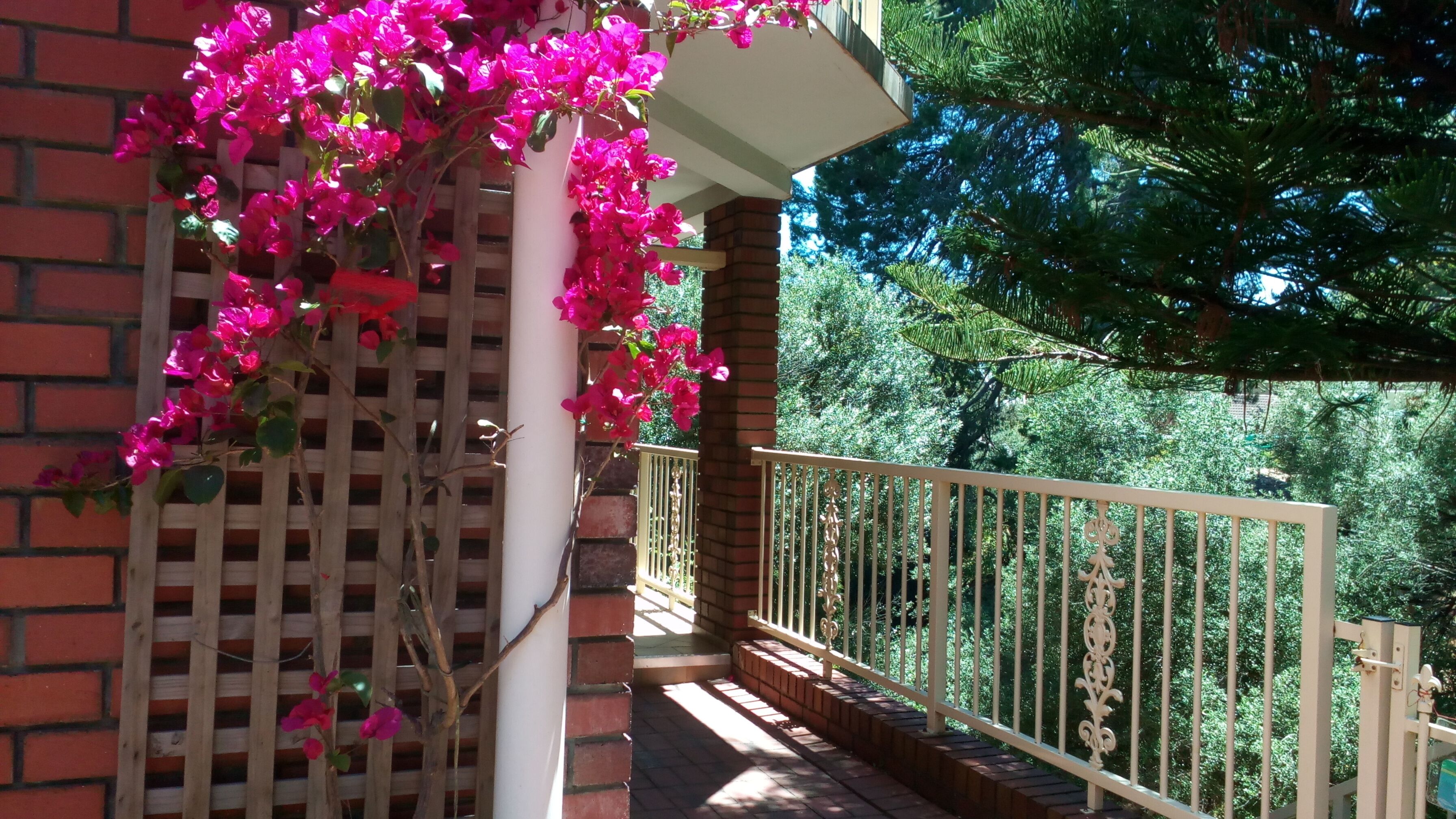 Large Studio Unit -  kitchenette  -  picturesque view -  free on street parking