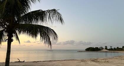 Luxurious condo Ocho Rios