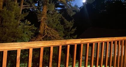 Cabin 5 Fall Asleep to the New River's Song