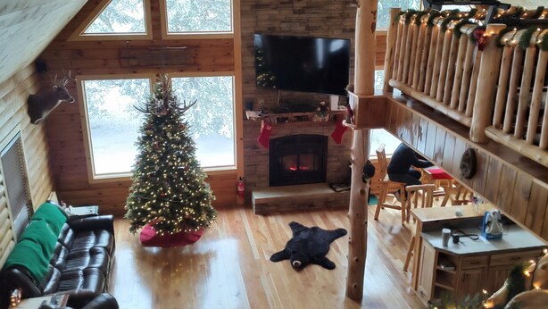 A cozy log cabin interior with a fireplace, a Christmas tree, a mounted deer head, and a television. - Cozy, country cabin near Cooperstown (Richfield Springs)