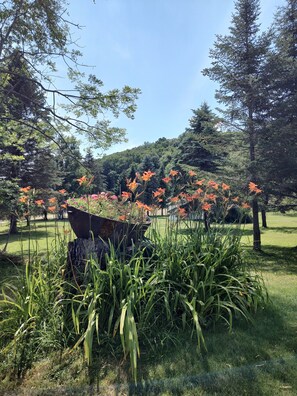 Property grounds - Cozy, country cabin near Cooperstown (Richfield Springs)