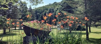 Cozy, country cabin near Cooperstown