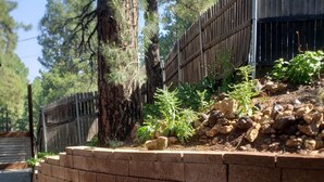 A landscaped garden area with a brick retaining wall, a wooden fence, and a paved walkway. - The Tiny  Basecamp  (Flagstaff)