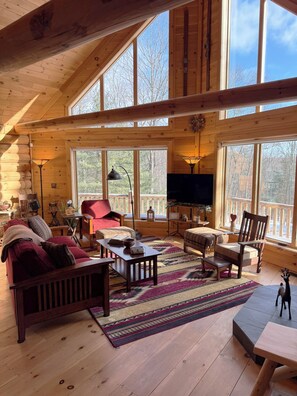 Smart-TV, peis og bøker