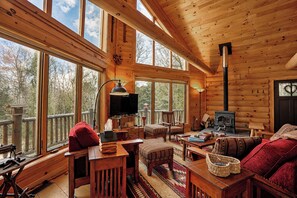 Smart TV, fireplace, books