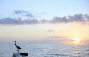 On the beach, sun loungers, beach towels