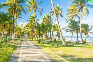 Un camí pavimentat flanquejat per palmeres que condueix a una platja.