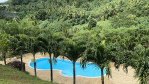 A pool surrounded by palm trees and lush greenery. - Stunning ocean & lagoon view in a completely renovated, entirely equipped villa (Haapiti)