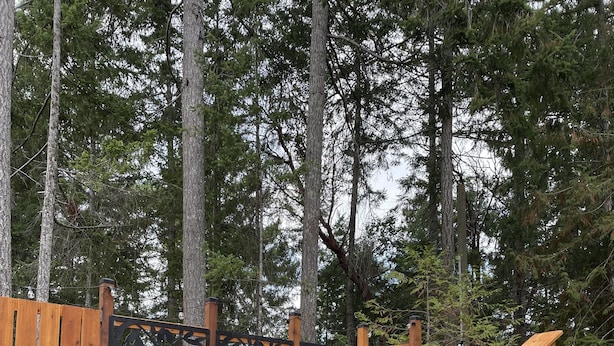 Une terrasse extérieure en bois, avec un escalier en bois menant à une zone abritée, le tout entouré d’une clôture en bois et d’arbres.