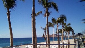 A beach with palm trees and umbrellas.