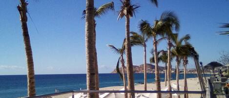 Beach nearby, sun-loungers