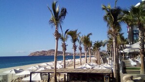 A beachside resort with rows of palm trees, beach umbrellas, and lounge chairs.