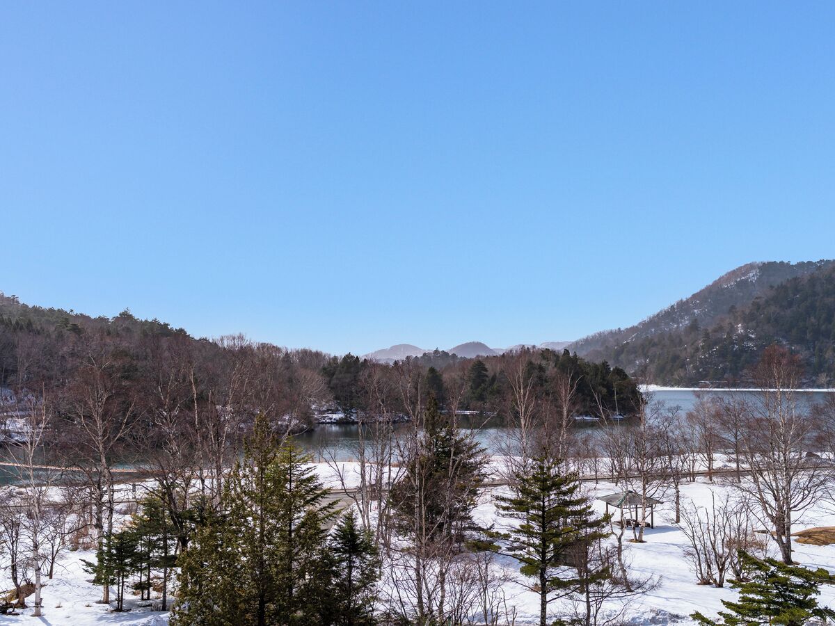 A winter landscape with a lake, snow-covered ground, and trees.