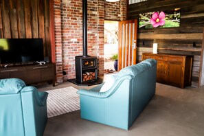 Smart TV, chimenea, Netflix y libros 