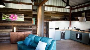 Una Smart TV, una chimenea, Netflix, libros