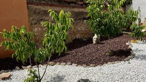 Un jardin avec des graviers blancs, de petits arbres et un mur de briques.
