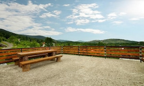 Appartement (Two-Bedroom Apartment) | Terras