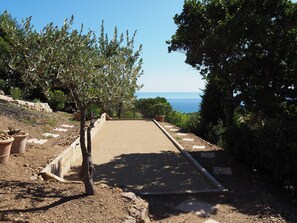 Stroll through the beautifully maintained garden, surrounded by lush olive trees and shrubs, with a scenic view of the sea in the distance.