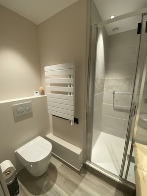 Shower, hair dryer, toilet paper