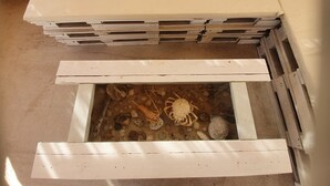 Une boîte en bois peinte en blanc, ornée d’un motif sur le thème de la mer sur le couvercle, posée sur un sol en béton.