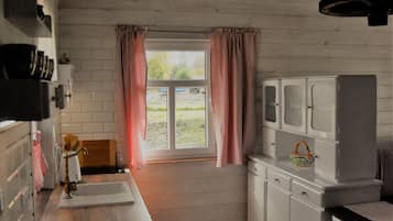 Fridge, dishwasher, electric kettle, cookware/dishes/utensils