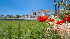 A modern building with a white facade, a covered outdoor seating area, and a clear blue sky. - Sicily luxury Marzamemi (Noto)
